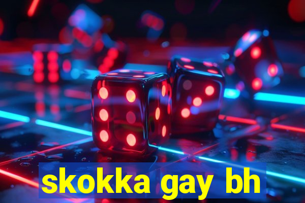 skokka gay bh